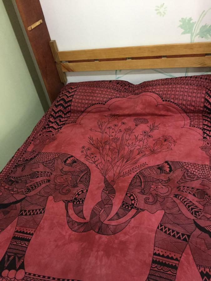 Hostel Mueller Na Praia De Mocambique Florianopolis Bagian luar foto